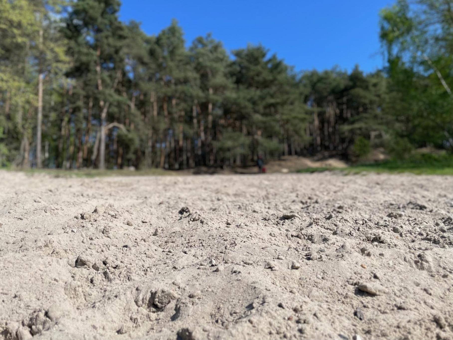 Natura Domki Anastazewo Kültér fotó